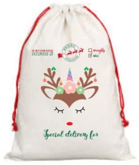 Santa Sack-Special Delivery